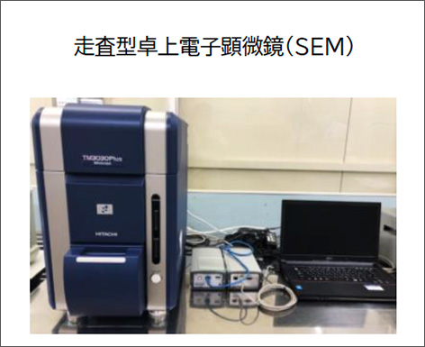 ^dq(SEM)
